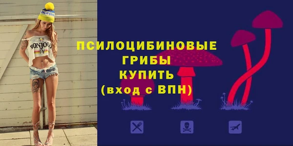 МДПВ Абдулино
