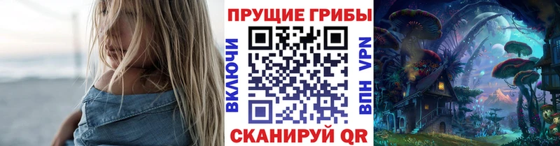 Галлюциногенные грибы мицелий  мориарти официальный сайт  Судогда 
